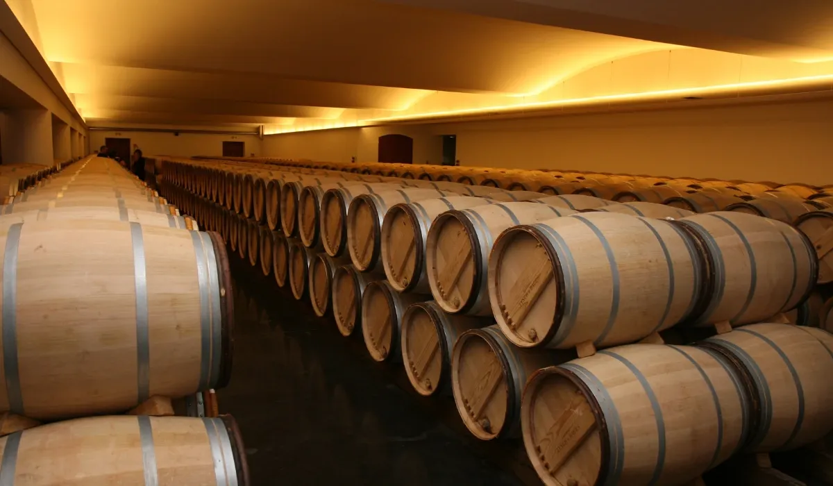 Cata de vinos en Logroño: descubre el sabor de Rioja