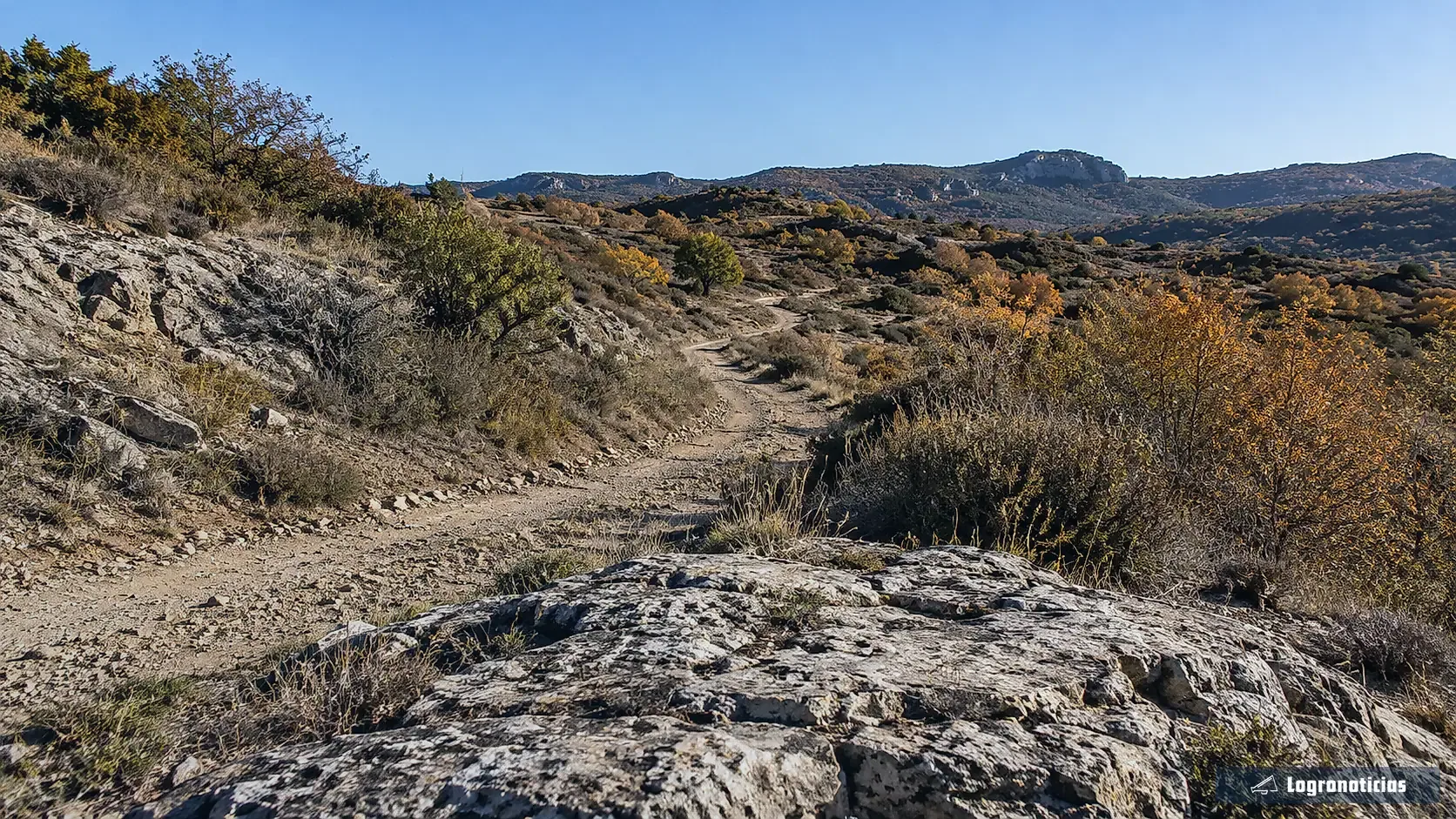 Camino de tierra entre lomas y matorral bajo un cielo despejado
