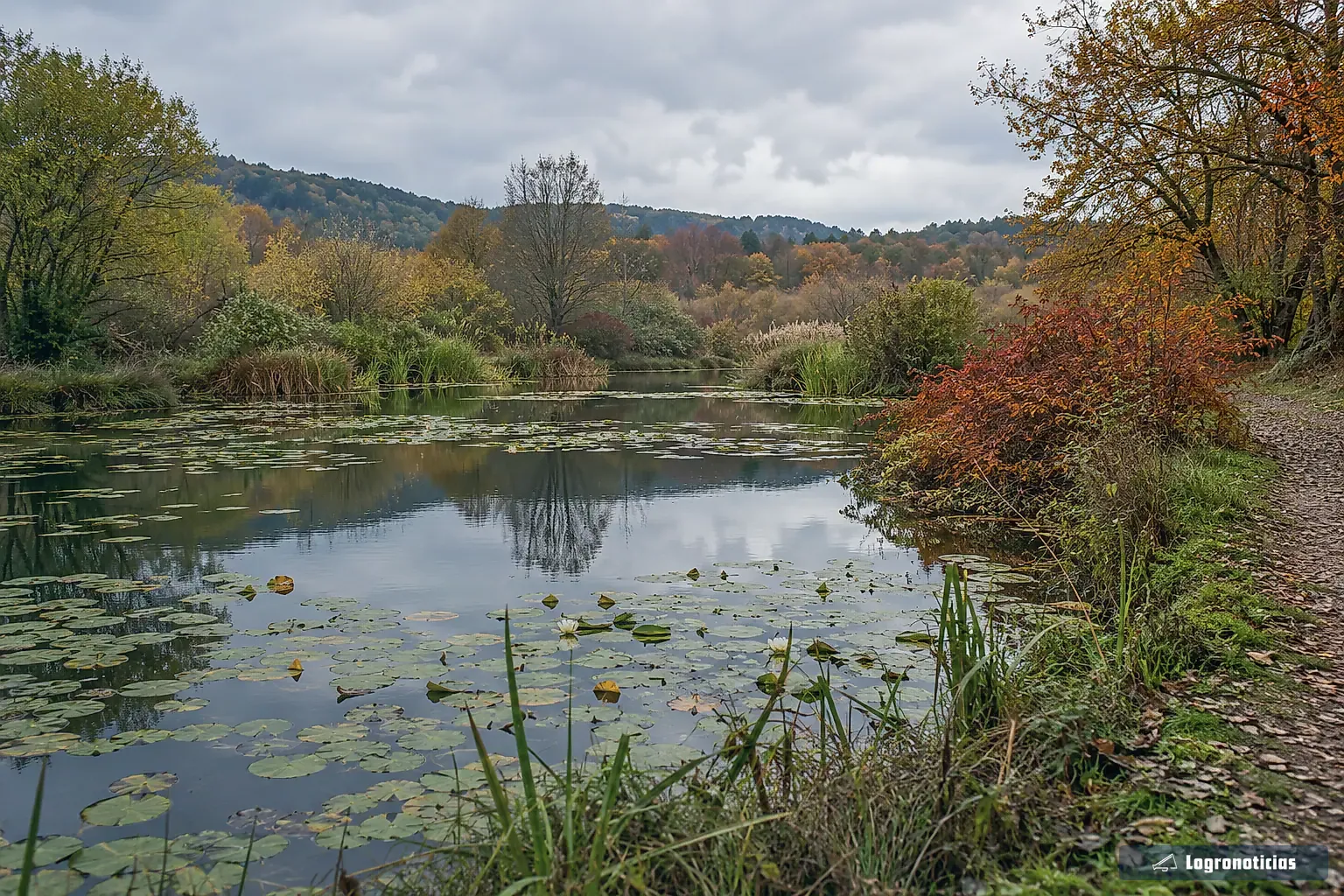 Sendero de tierra junto a un estanque con nenúfares y arbustos de hojas ocres