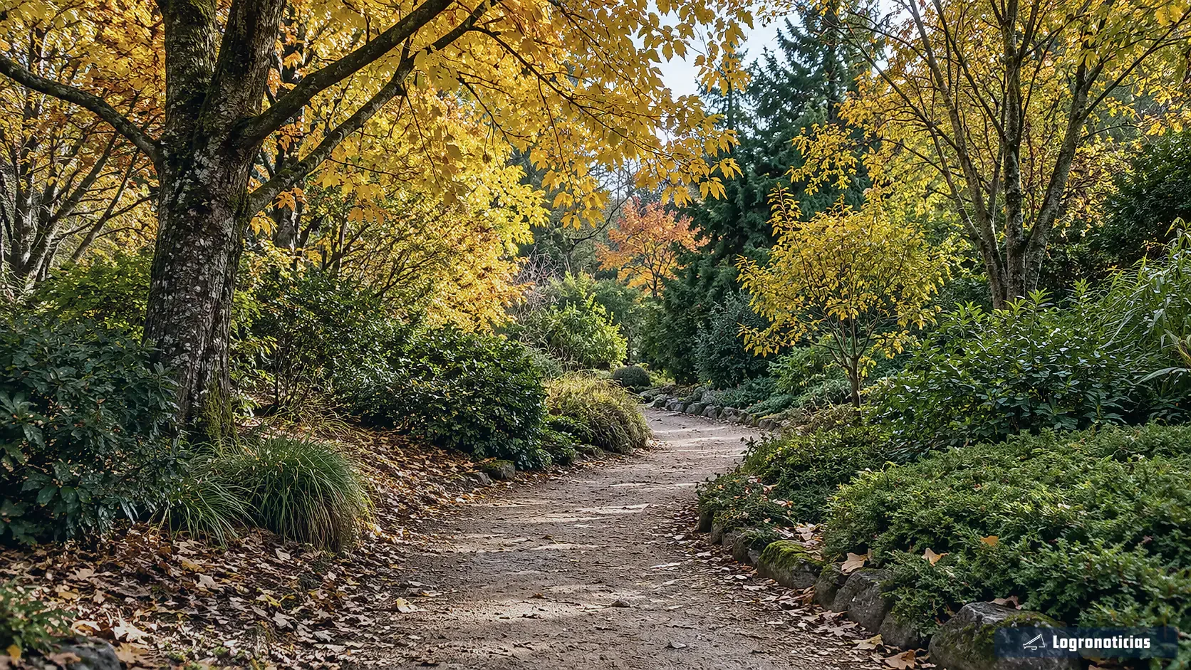 Sendero de jardín entre árboles con hojas otoñales y vegetación variada
