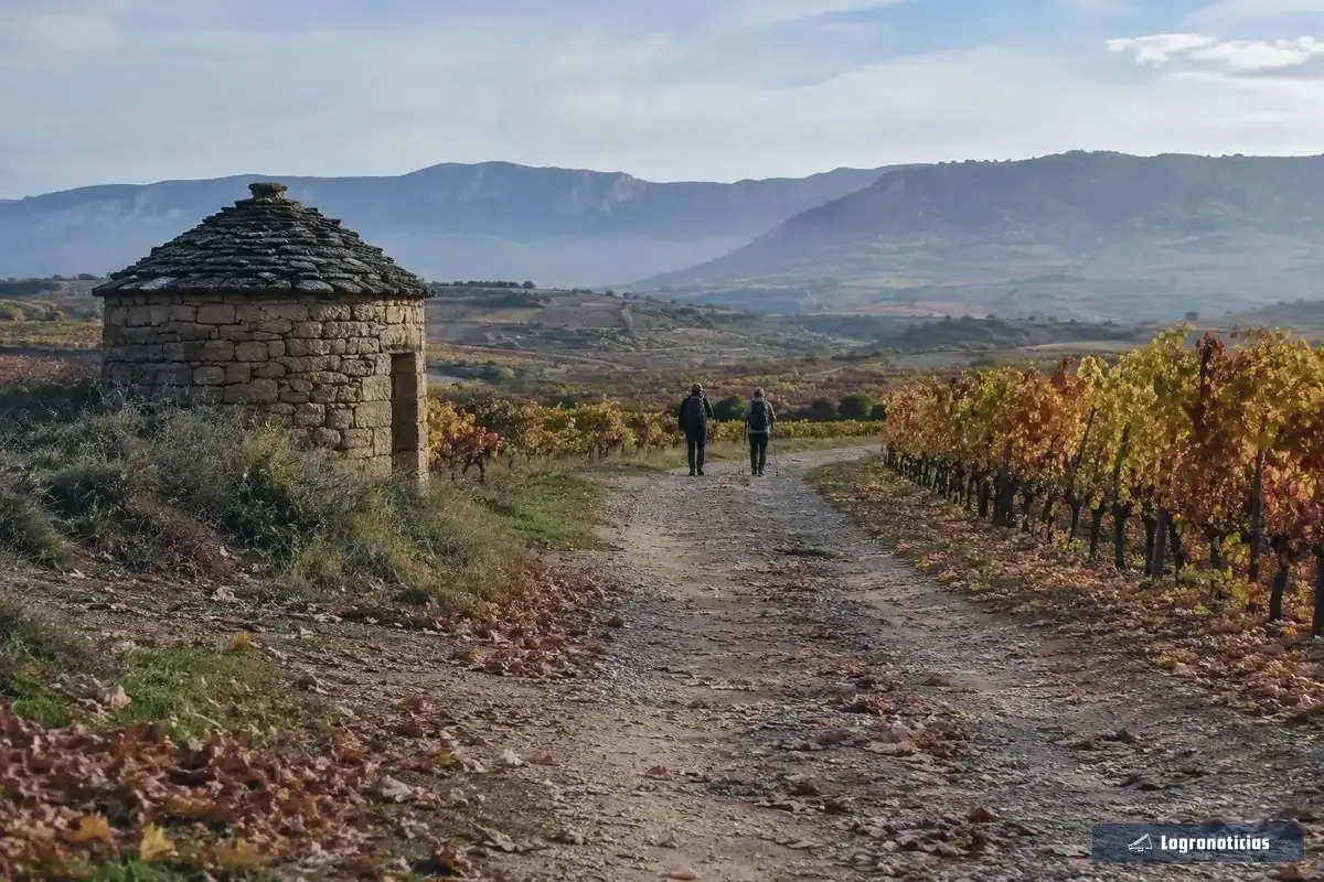 Camino entre viñas en otoño con un guardaviñas de piedra