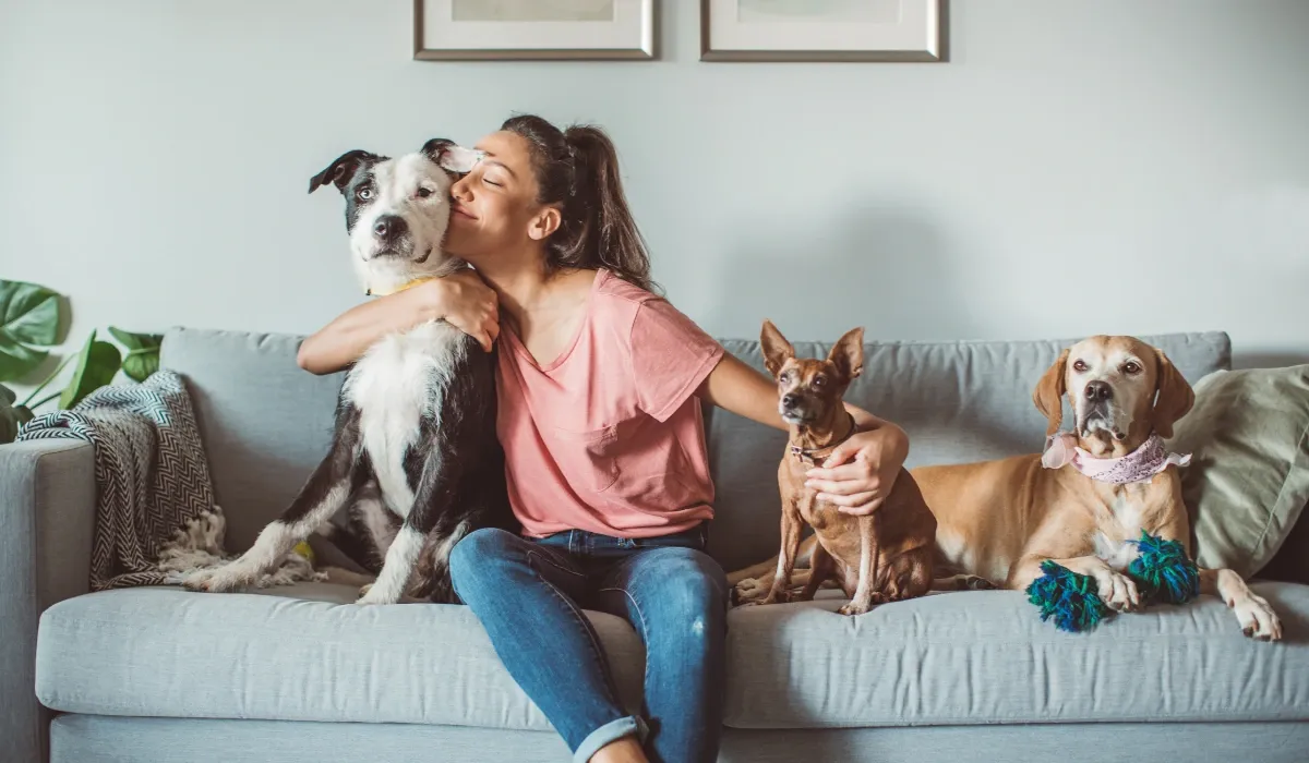 Mujer abraza a un perro en el sofá junto a otros dos perros