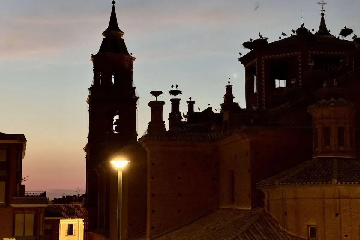 Torre y tejados de ladrillo con nidos de cigüeña al caer la tarde en Alfaro