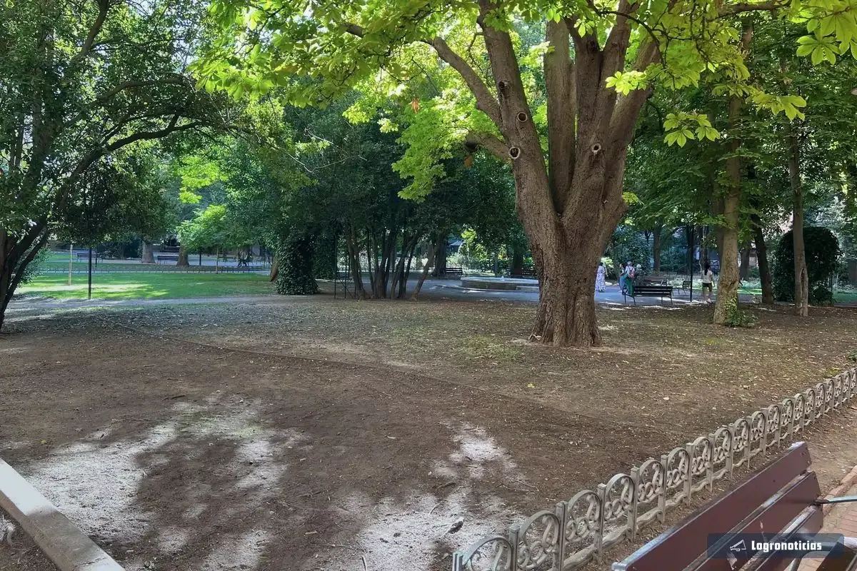 Árbol de gran porte y zona de sombra en el Parque del Carmen de Logroño