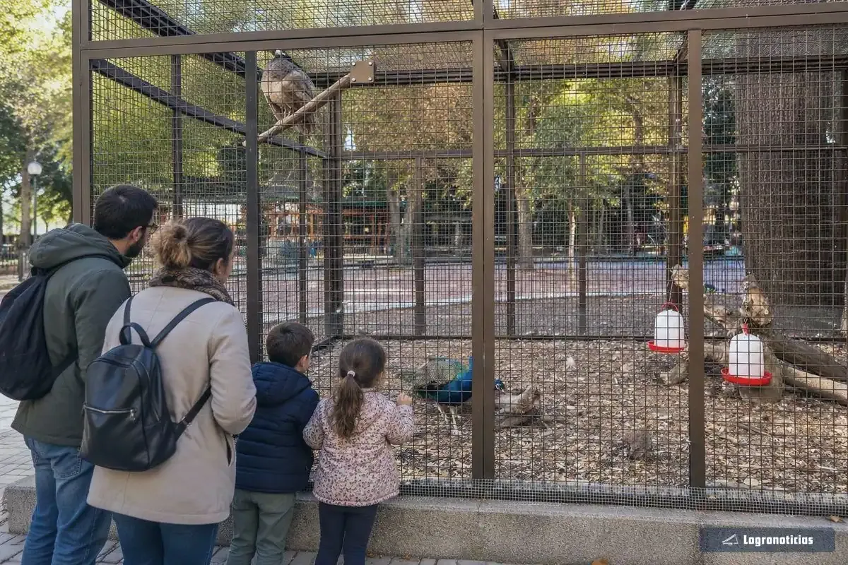 Niños observando un pavo real en la pajarera de un parque