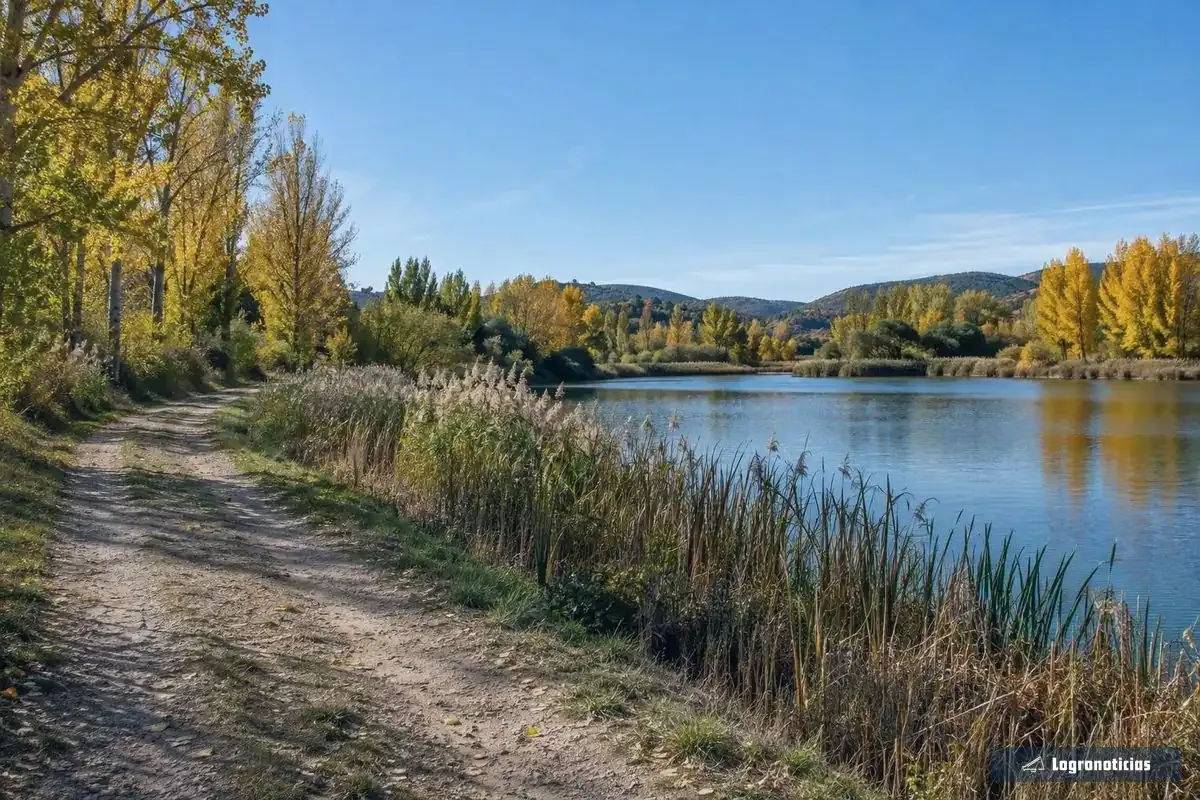 Sendero de tierra junto a un embalse rodeado de carrizo y chopos amarillos en otoño