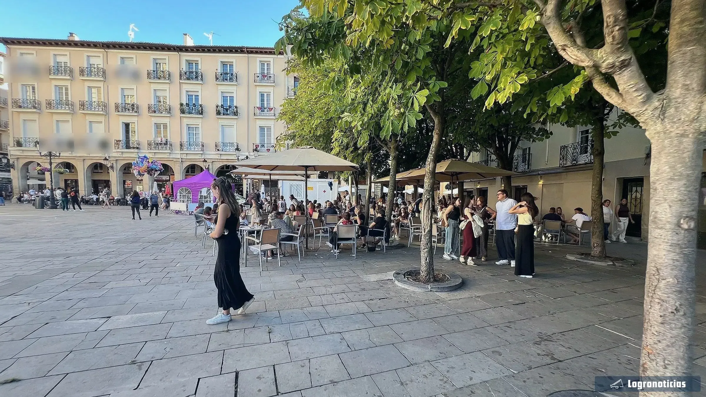 Terrazas con sombrillas bajo los castaños de la plaza del Mercado de Logroño