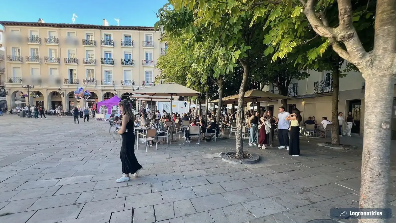 Terrazas con sombrillas bajo los castaños de la plaza del Mercado de Logroño