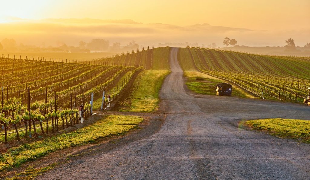 visitar bodegas en logroño